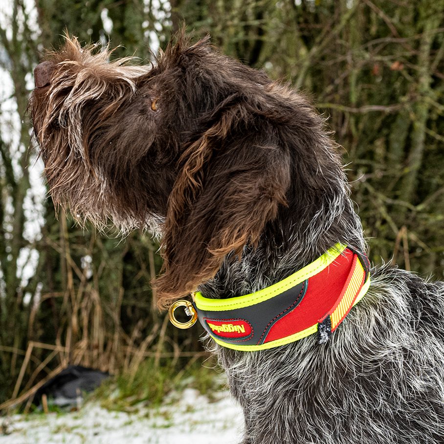 Trail Spårhalsband Röd och Gul Snabbkoppling XS