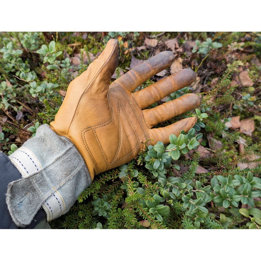 Skullman Glove NATURGUL / 11