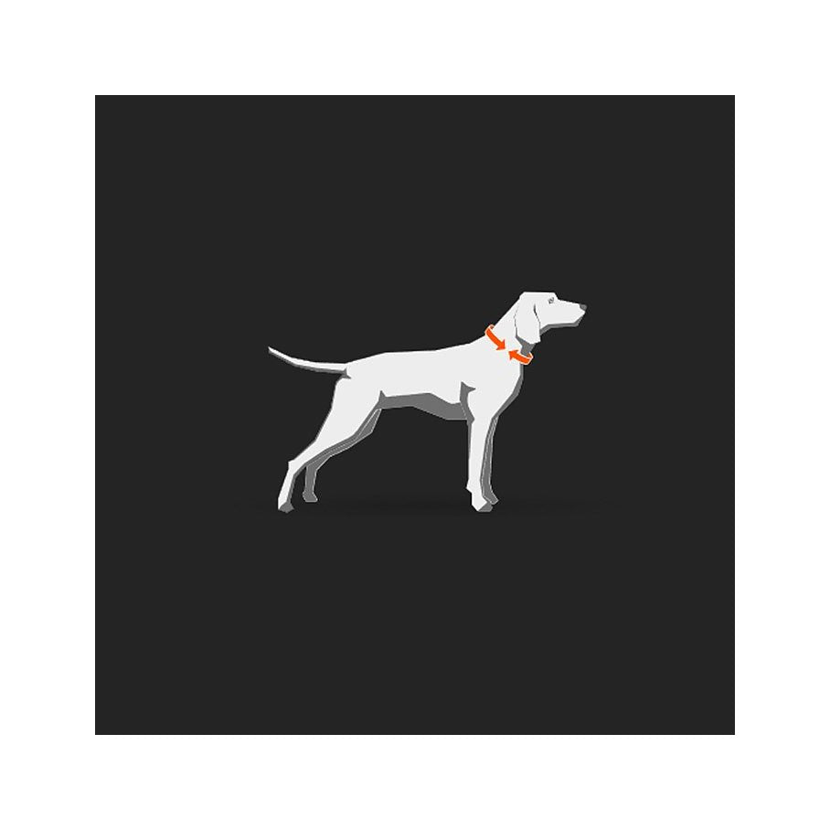 Freemotion Dragsele STORLEK #3 - NACKOMKRETS: 28-33 CM