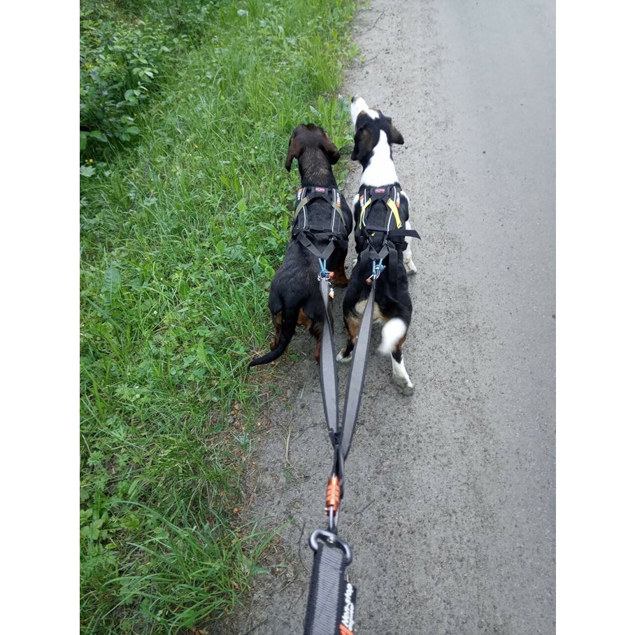 Freemotion Dragsele STORLEK #5 - NACKOMKRETS: 36-40 CM