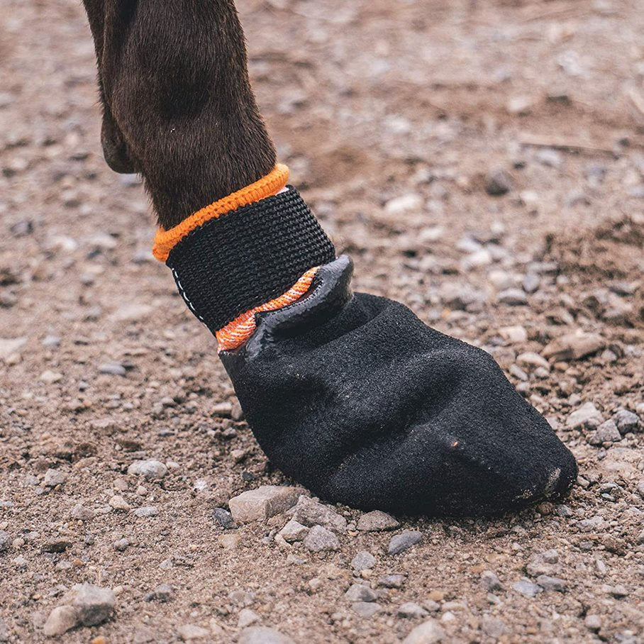 Protector Hundsko Gummerad 4-pack SVART / XL