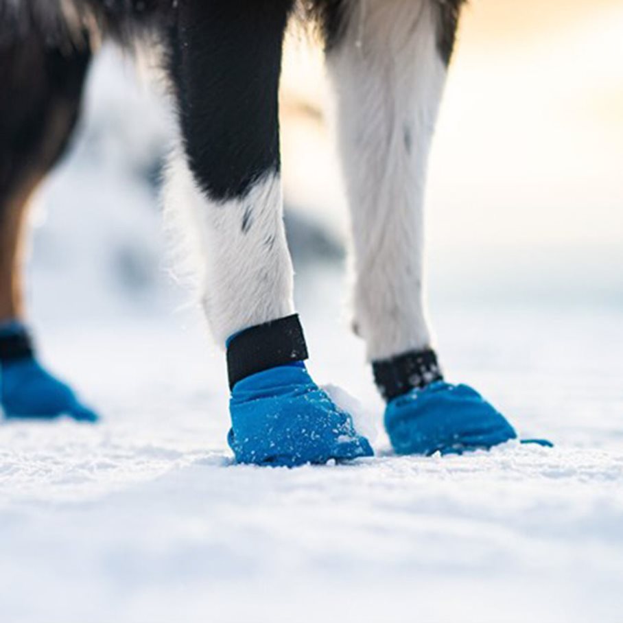 Long Distance Tasskydd, 4st BLÅ / XXS