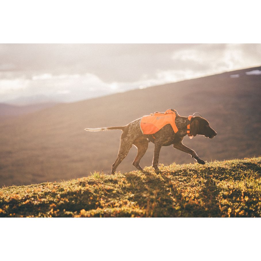 Protector Hundväst för GPS, kevlarförstärkt XS