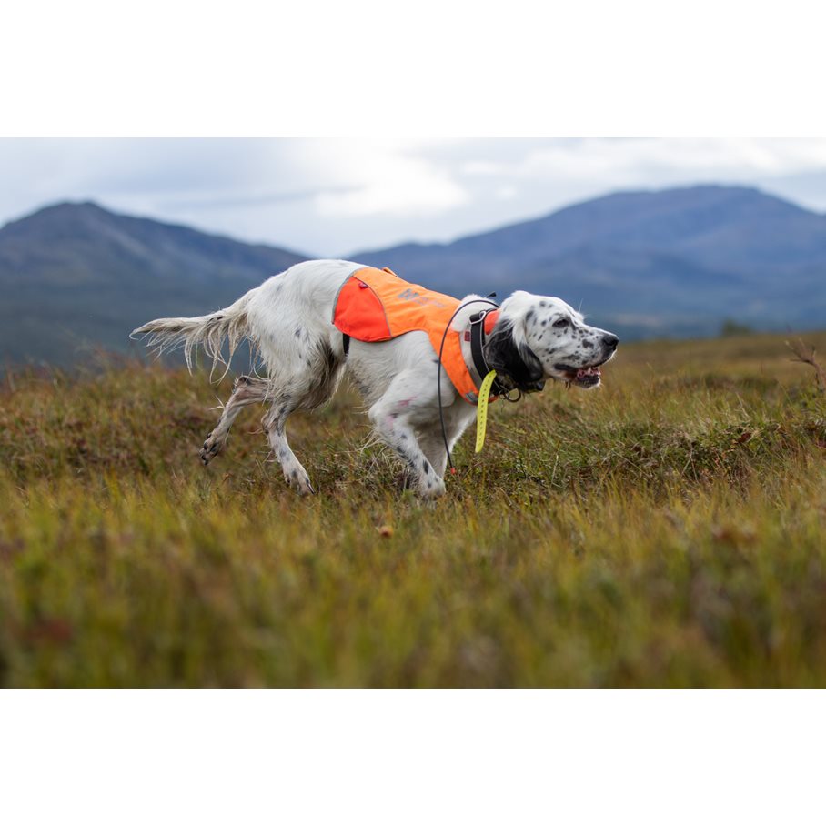 Protector Cover Hundväst med reflex XS