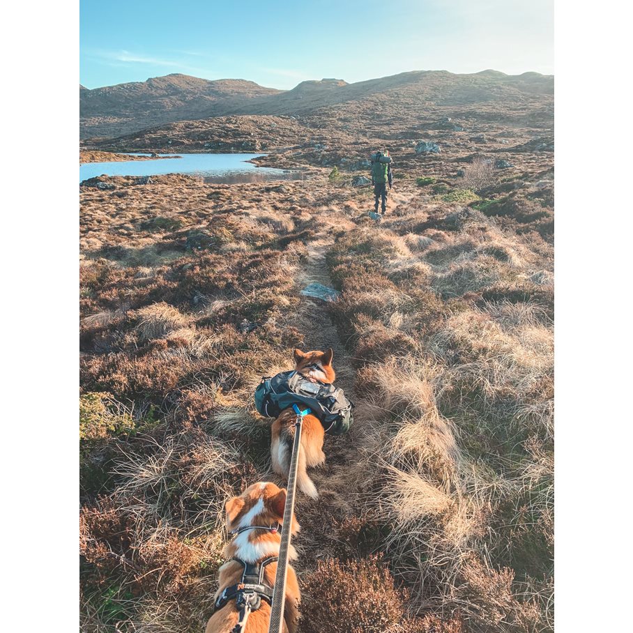 Amundsen pack, Klövjeväska Hund S