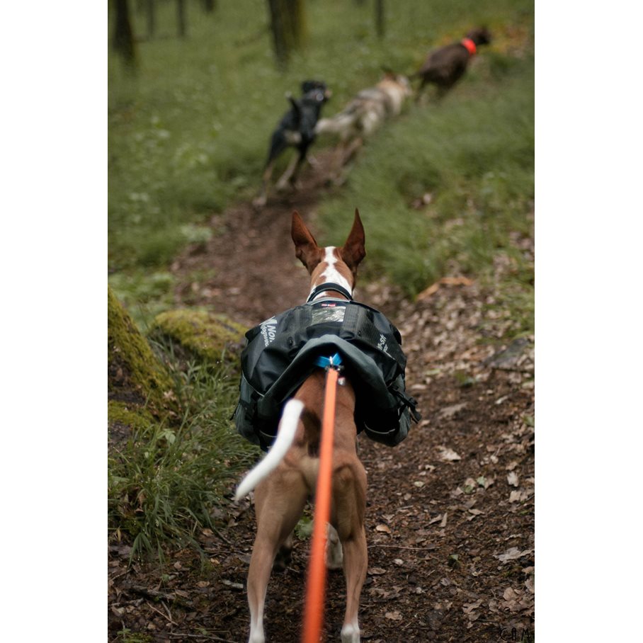 Amundsen pack, Klövjeväska Hund XL