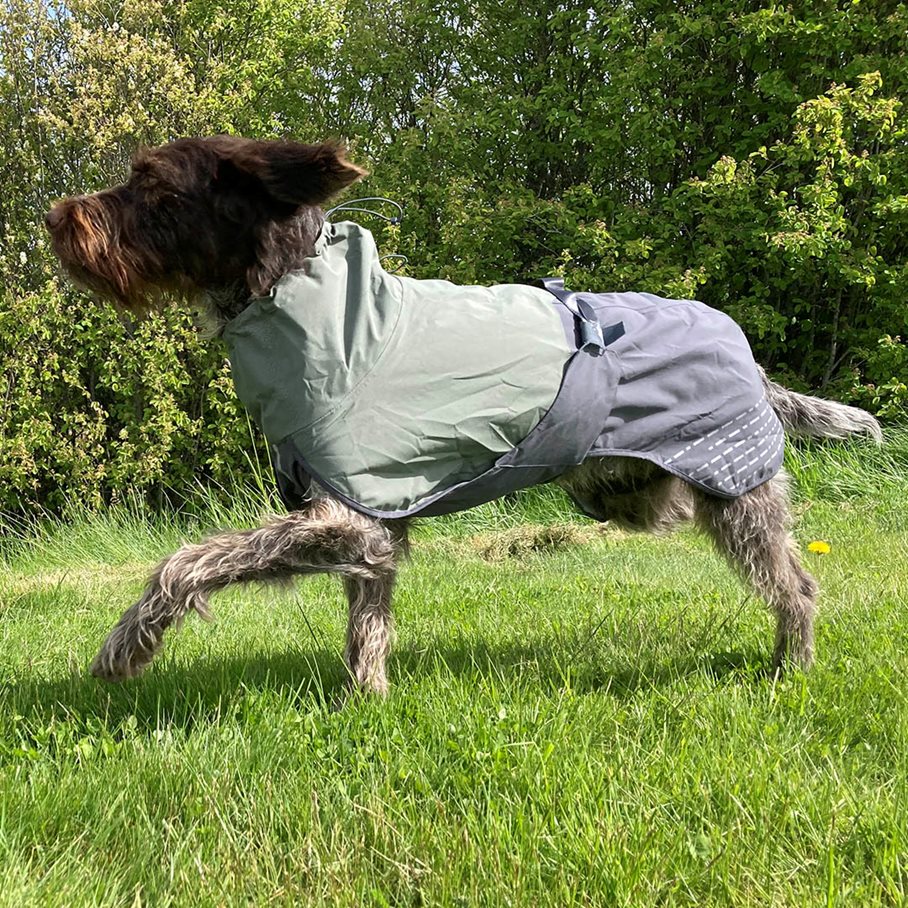 Fjord Regntäcke Hund GRÅ/GRÖN / 40 CM