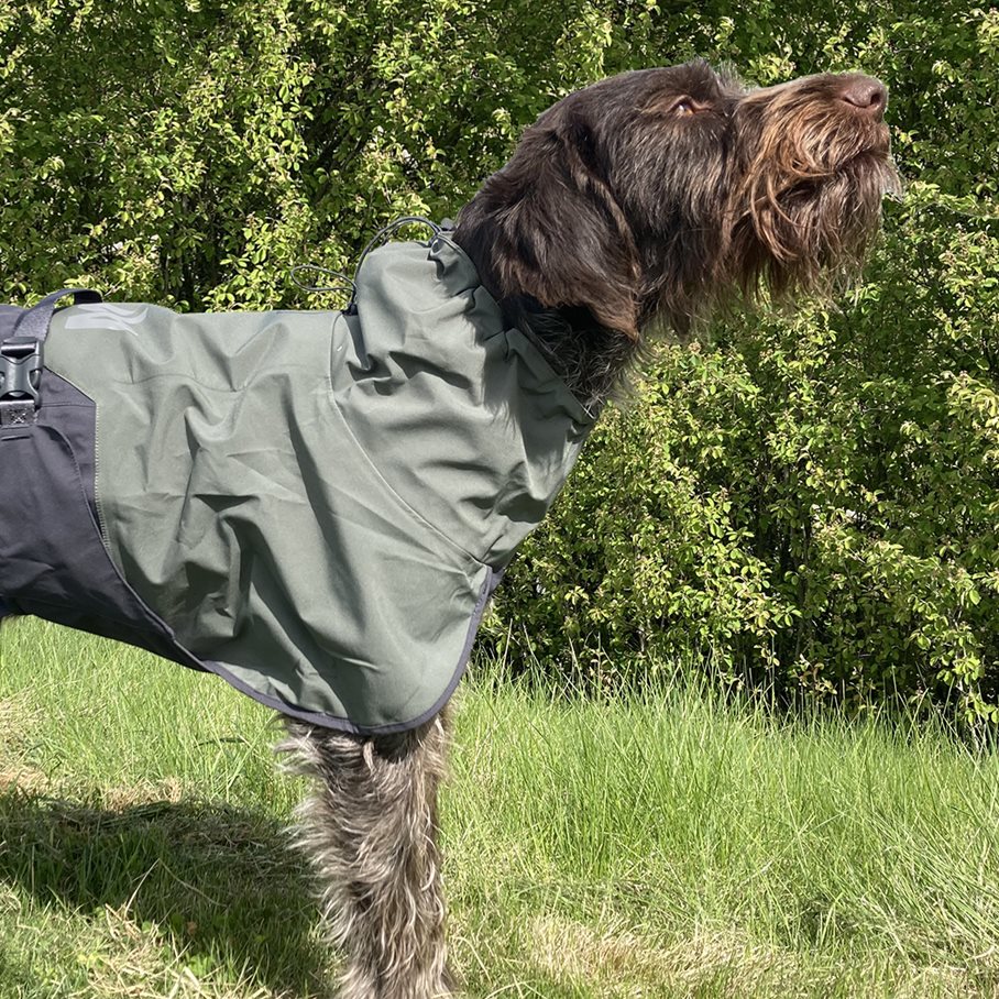 Fjord Regntäcke Hund GRÅ/GRÖN / 40 CM