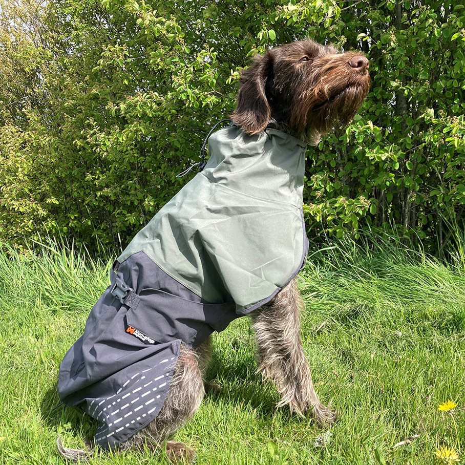 Fjord Regntäcke Hund GRÅ/GRÖN / 45 CM