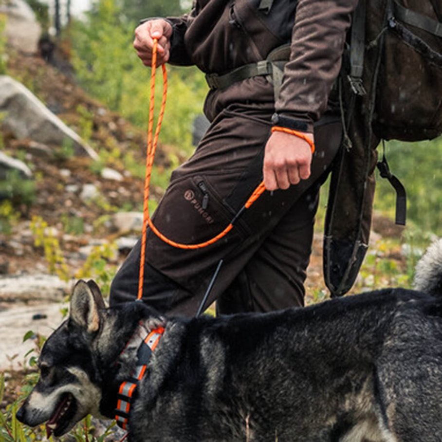 Halsband med reflex till DC-50, T5Mini, Wehunt. GUL / 20 MM