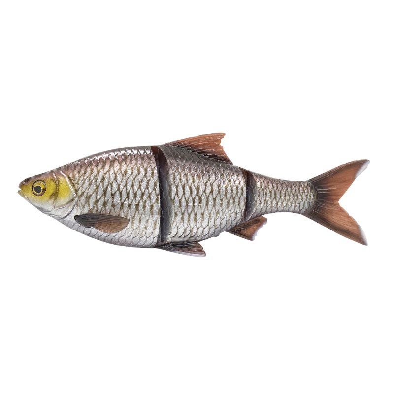 Line Thru Roach SS 32 cm SILVER BREAM / 32 CM / 420 GRAM