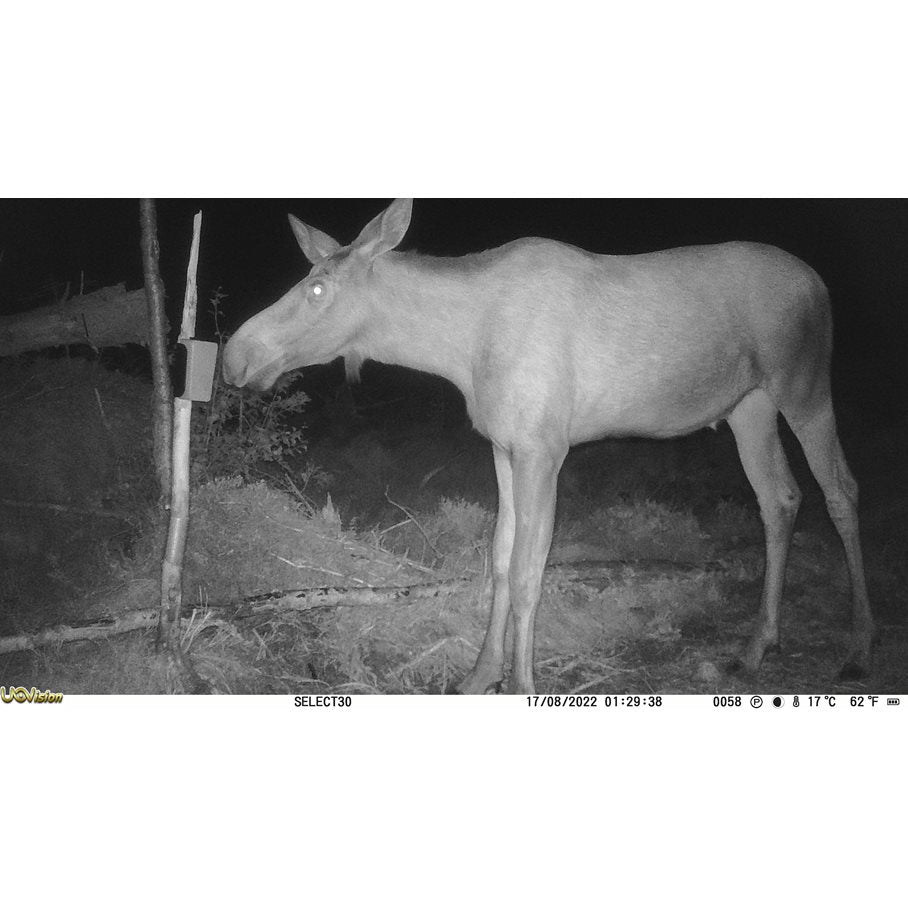 Viltkamera Select 30MP 4G UTAN SIM