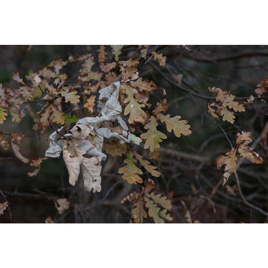 Strip-Solid BRIGHT-SAND / 4 CM X 8 M