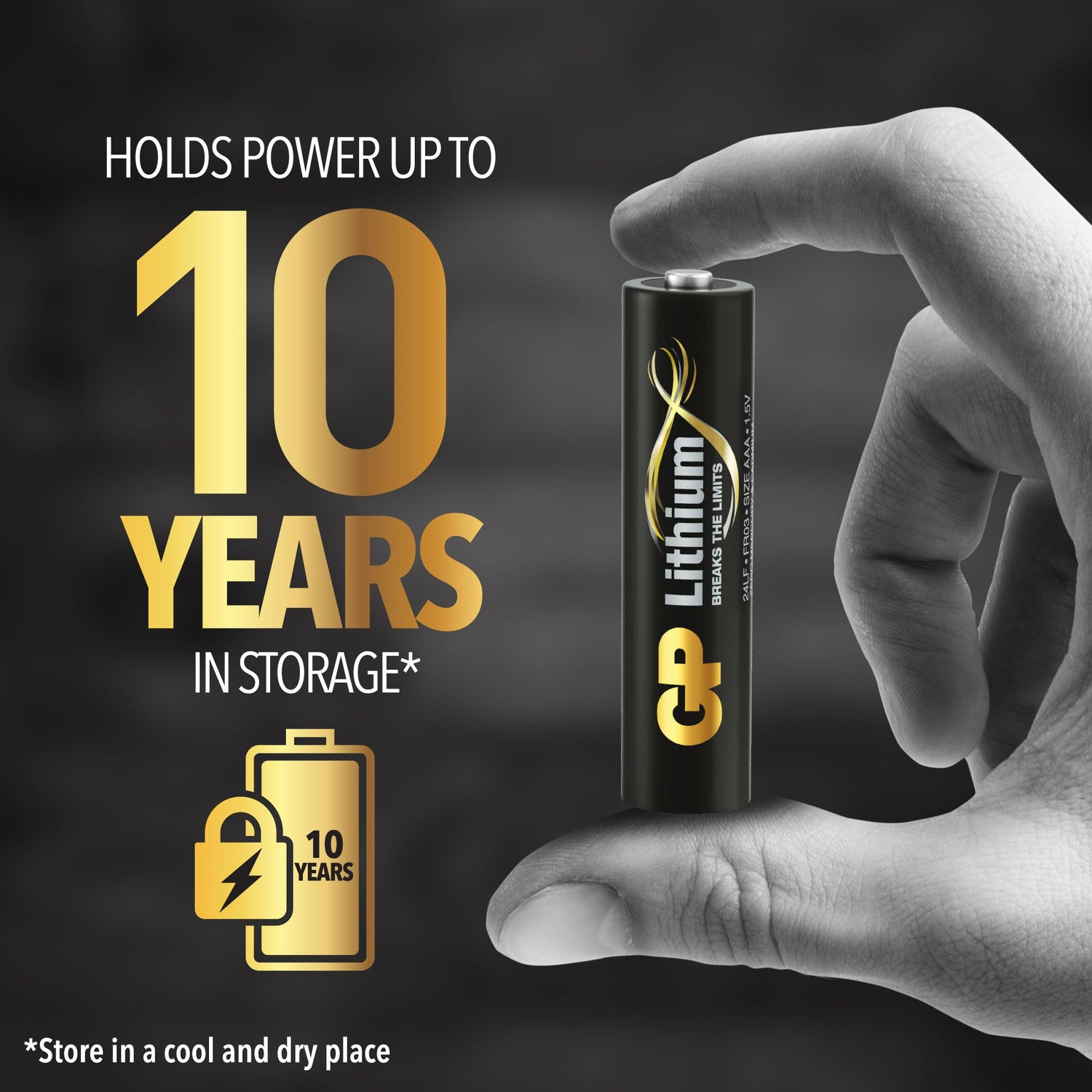 AA-litiumbatteri 1.5V, 15LF-2U4, 4-pack SVART / EN STL