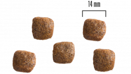 Dog Adult All Breed Grainfree Lax och Potatis 1,5kg eller 10 kg SMAK LAX OCH POTATIS & MÄNGD 1,5 KG