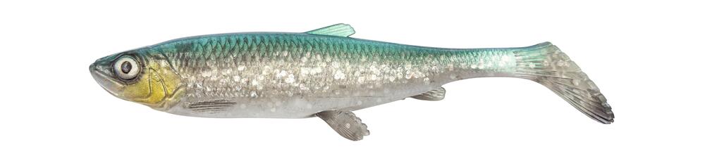 3D Herring Shad 21,5cm GREEN SILVER / 21,5 CM / 65 GRAM