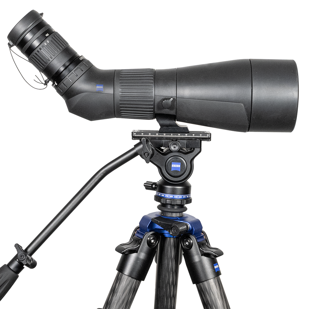 Zeiss Gavia 30-60x85 Med Zeiss Pro-Series Universal Kolfiberstativ