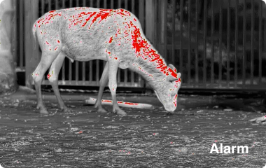 Ranger 384x288, 25 mm Värmekamera