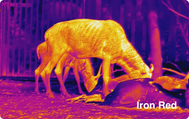 Ranger 384x288, 25 mm Värmekamera