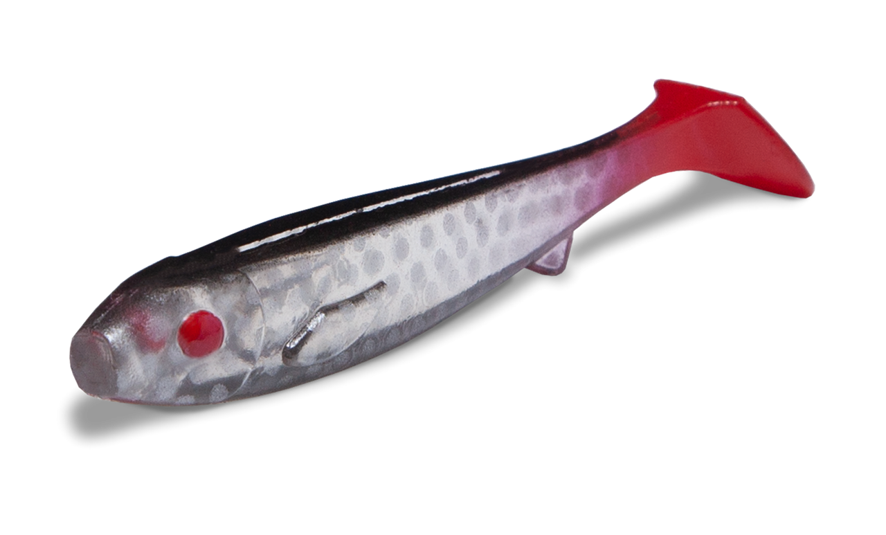 Flatnose Mini 10-pack