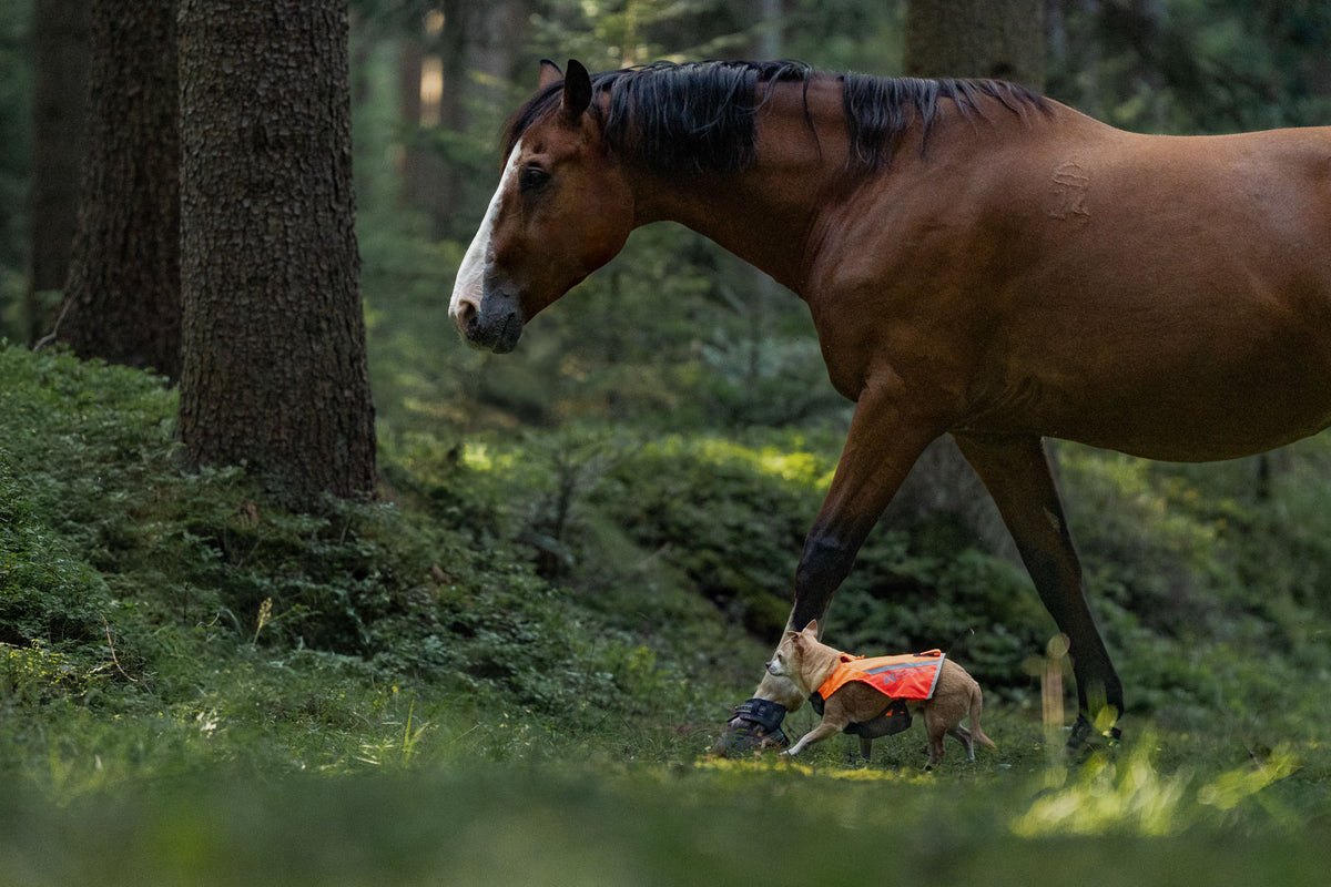 Protector Vest 2.0, utan GPS ficka