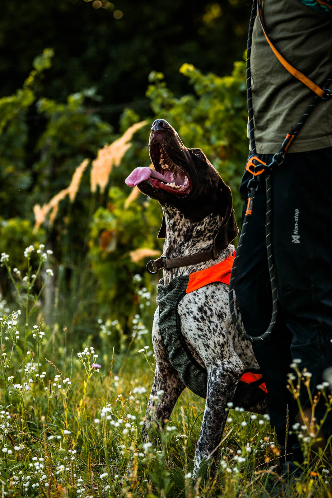 Protector Vest GPS 2.0, kevlarförstärkt