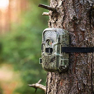 Kameror för vilda djur - användbara eller bara en myt?