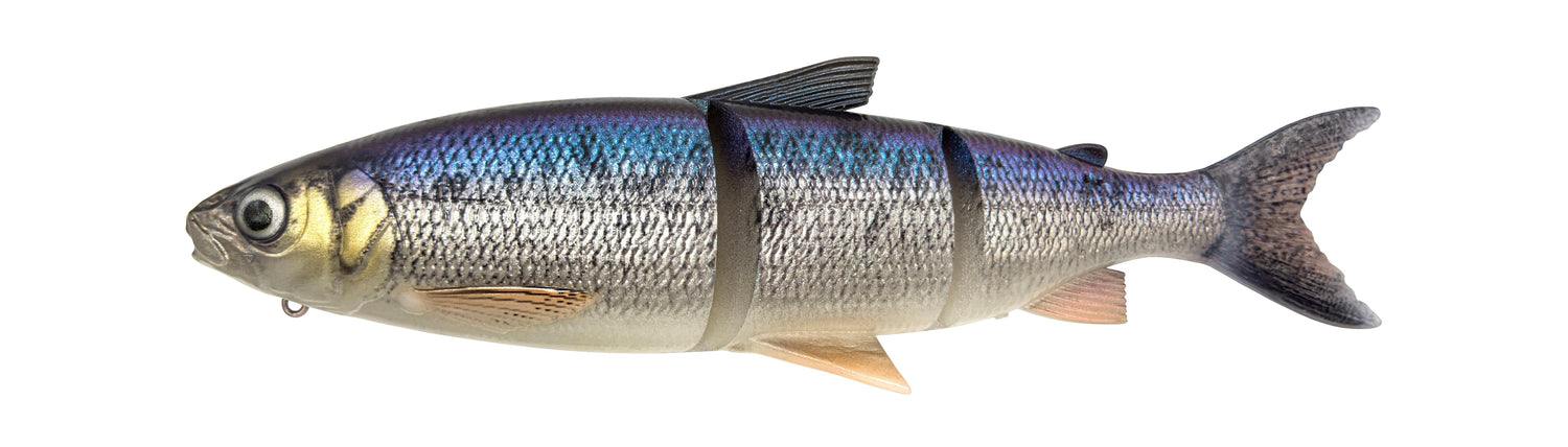 3D Line Thru Whitefish