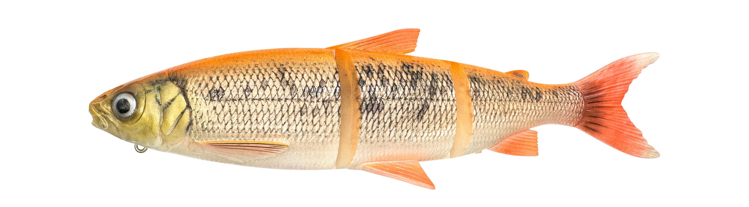 3D Line Thru Whitefish