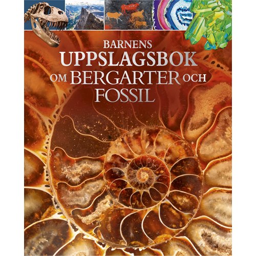 Barnens Uppslagsbok Om Bergarter Och Fossil EN STL