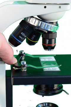 Mikroskop BMS 146 FLARQ TRINO EN STL