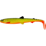 Bullteez 24 cm 107 g Gummibete GOLD RUSH / EN STL
