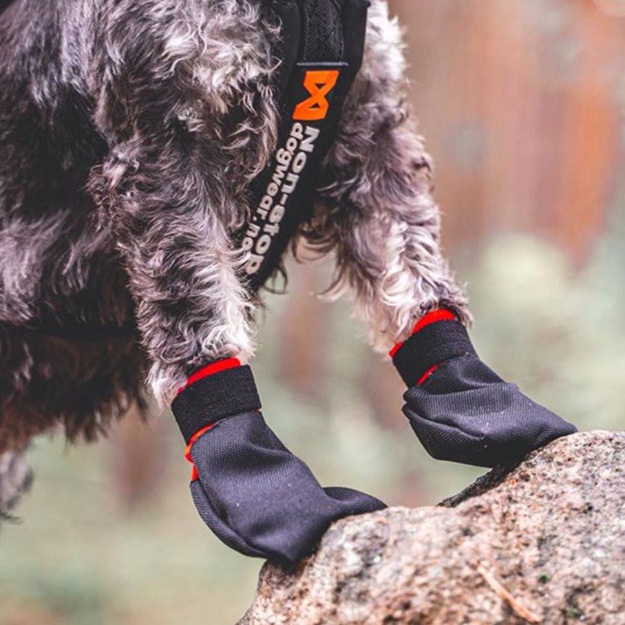 Nylonfodrad socka 4-pack SVART / L