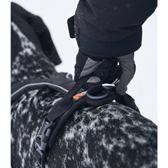 Line Sele Grip till Hund SVART / STL 1