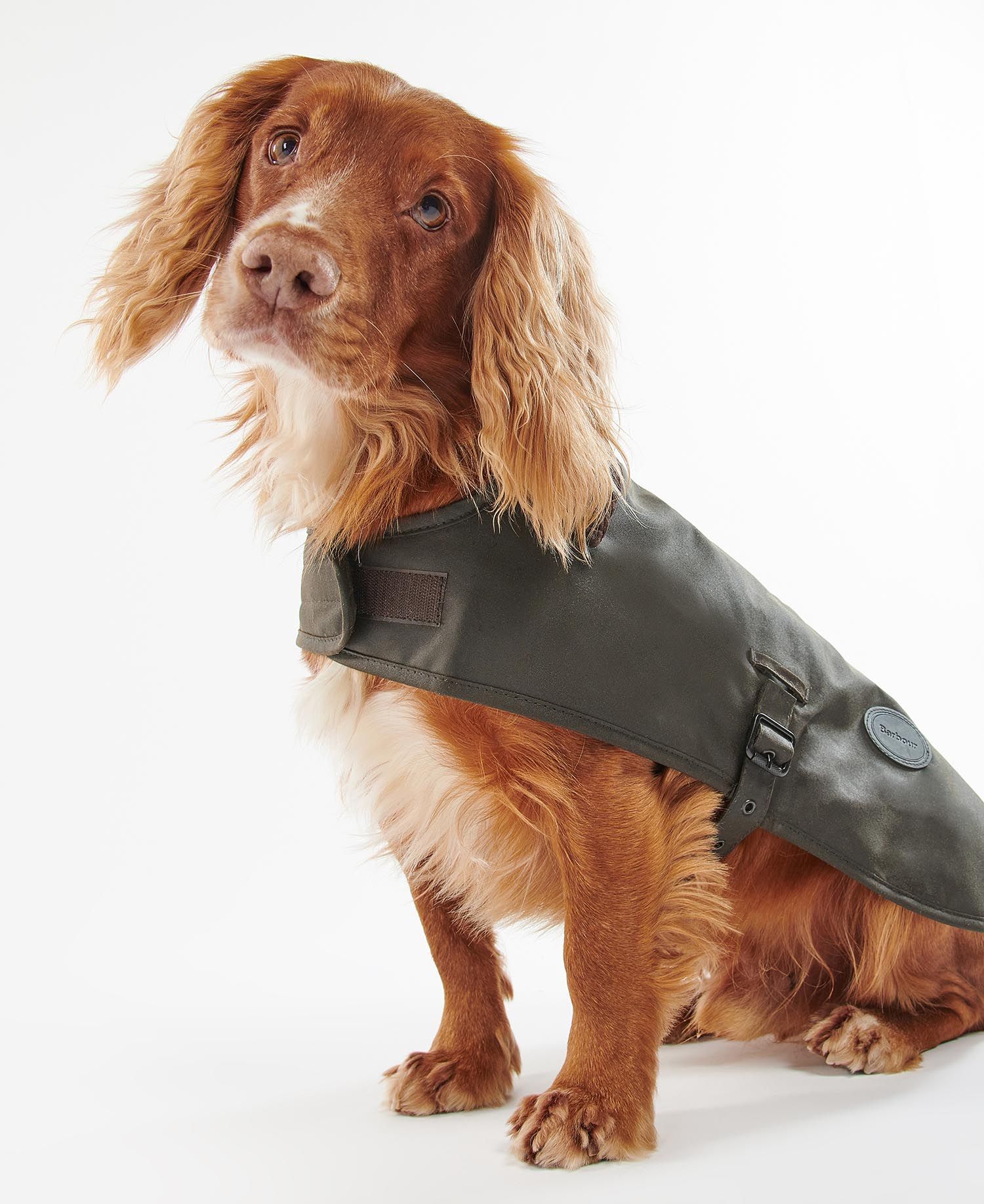 Wax Dog Coat OLIVE / S