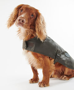 Wax Dog Coat OLIVE / S
