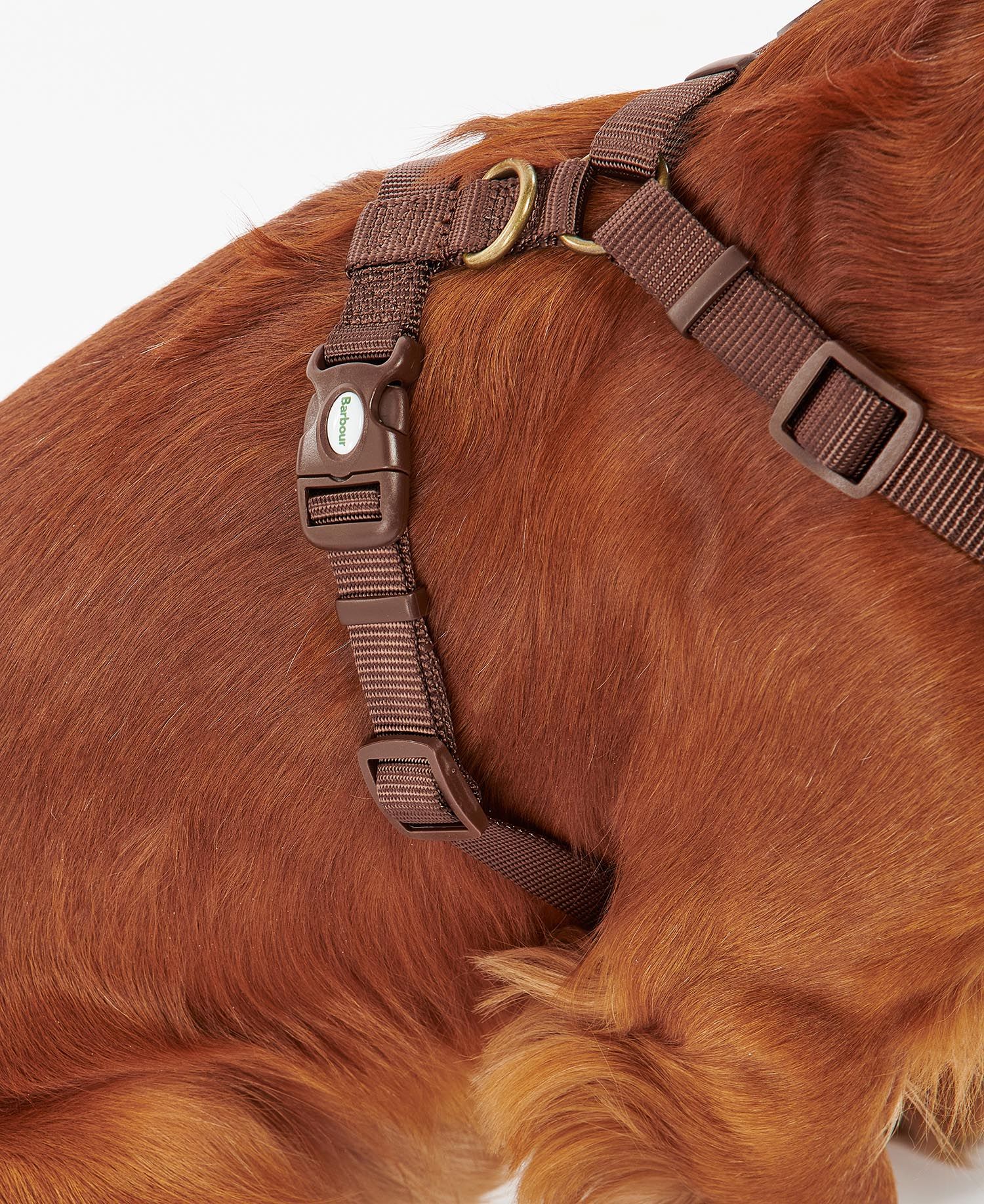 Travel And Exercise Harness S