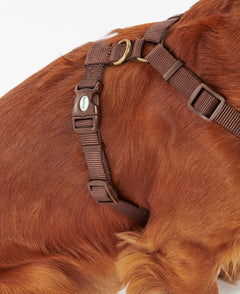 Travel And Exercise Harness S