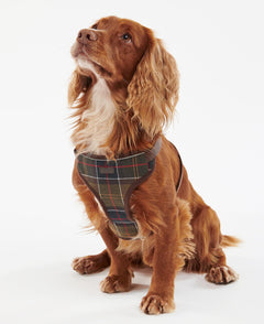 Travel And Exercise Harness S