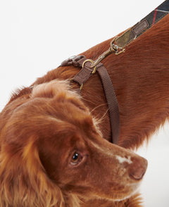 Travel And Exercise Harness S