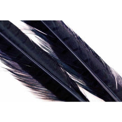 Ringneck Pheasant Tail 1 Pair DUN / EN STL
