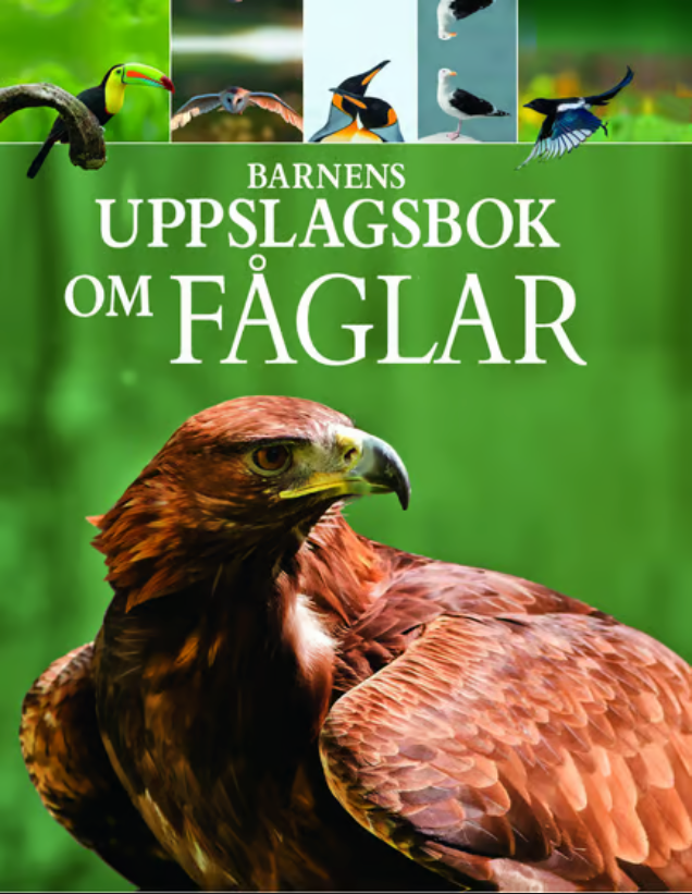 Barnens uppslagsbok om Fåglar EN STL