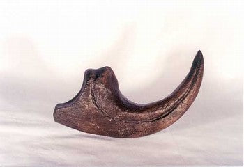 Allosaurus fragilis klo-fossil - avgjutning EN STL
