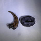 Velociraptor mongoliensis klo - avgjutning EN STL