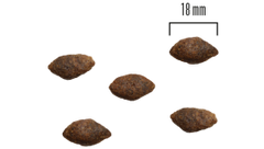 Dog Adult All Breed Grainfree Hjort och Kalkon 1,5kg eller 10 kg SMAK FR. HJORT OCH KALKON & MÄNGD 1,5 KG