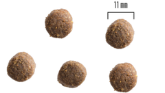 Dog Adult All Breed Lamm och Potatis 2kg eller 10 kg SMAK LAMM OCH POTATIS & MÄNGD 2 KG