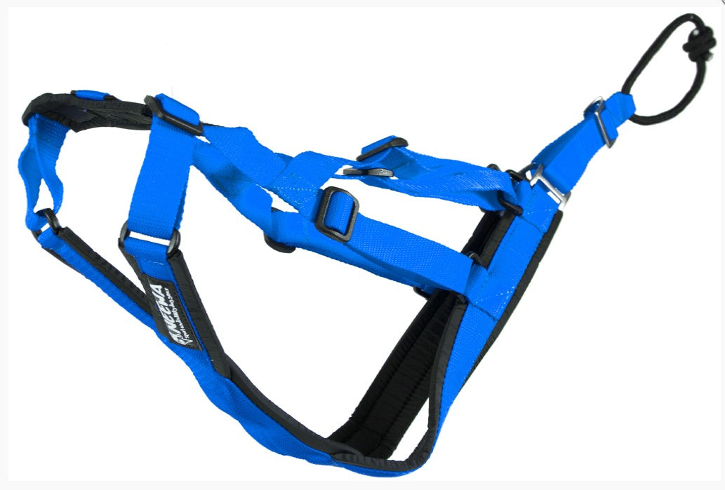 Sled Dog X-Back