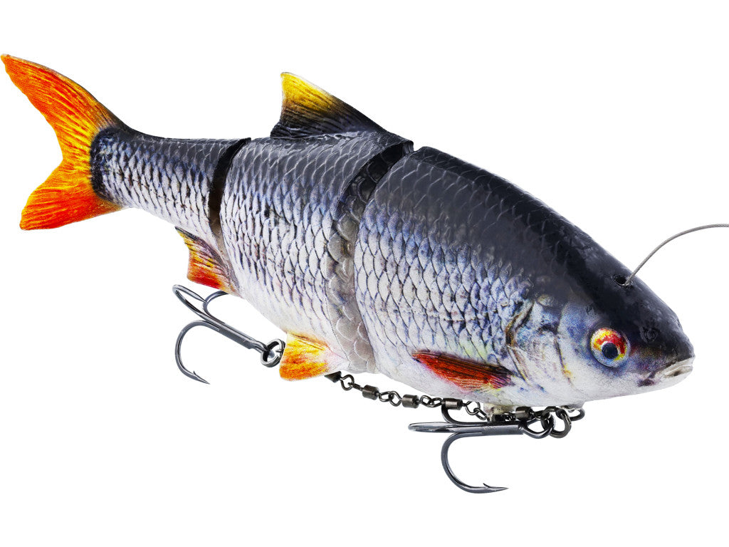 Ricky the Roach inline REAL ROACH / 15 CM / 52 GRAM