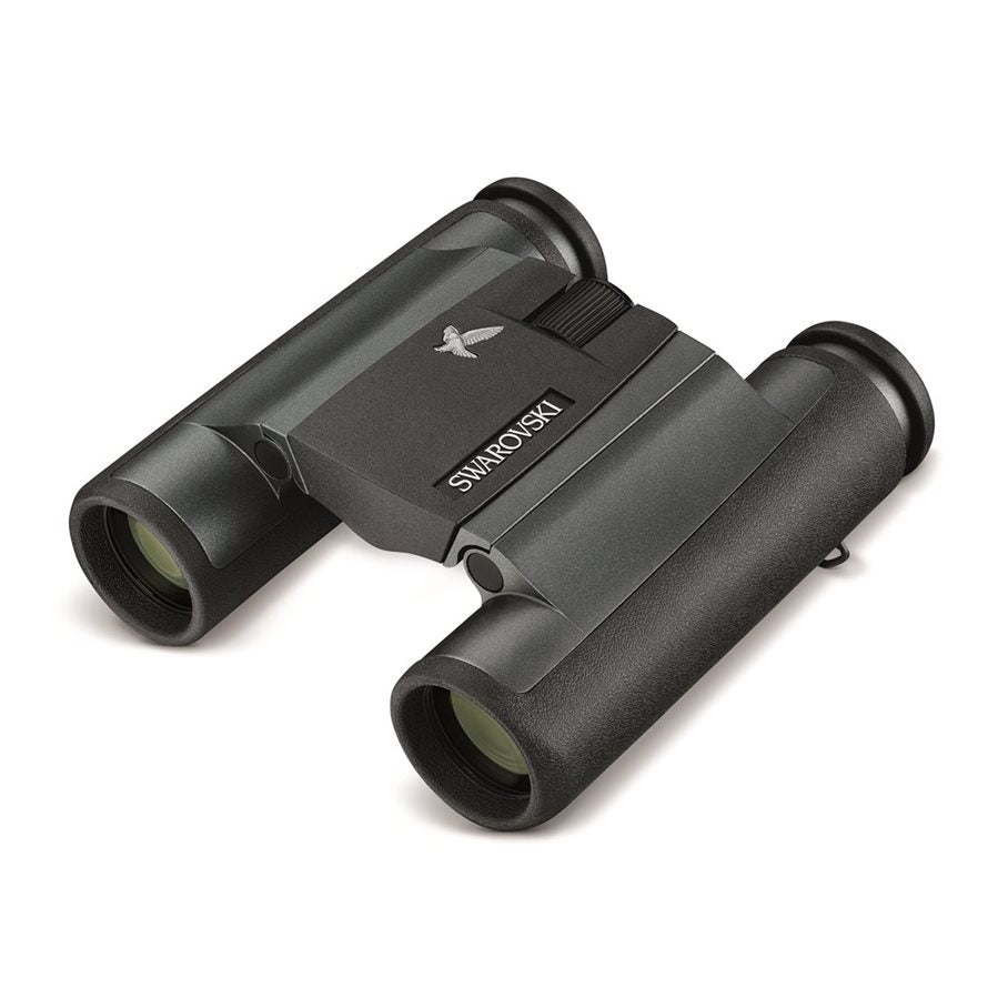 CL Pocket G2 10x25 Med Mountain Väska ANTRACIT / EN STL