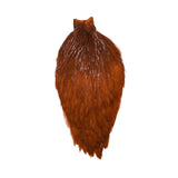 Whiting US Rooster Cape BROWN / EN STL